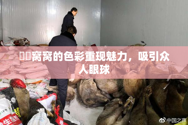 妺妺窝窝的色彩重现魅力，吸引众人眼球