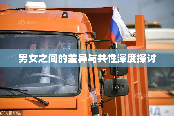 男女之间的差异与共性深度探讨