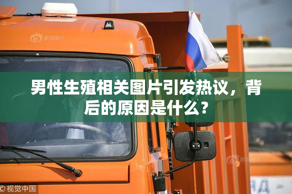 男性生殖相关图片引发热议，背后的原因是什么？