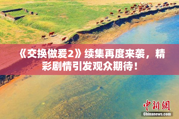 《交换做爰2》续集再度来袭，精彩剧情引发观众期待！