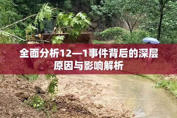 全面分析12—1事件背后的深层原因与影响解析