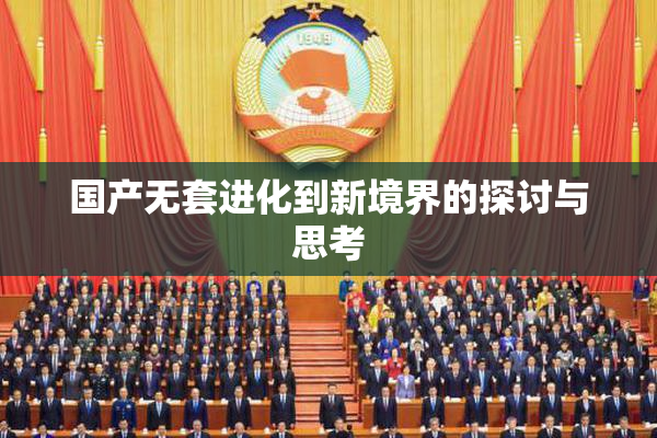 国产无套进化到新境界的探讨与思考