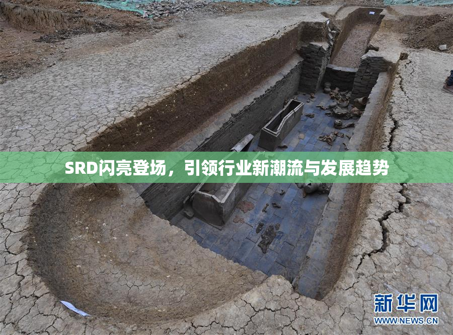SRD闪亮登场，引领行业新潮流与发展趋势