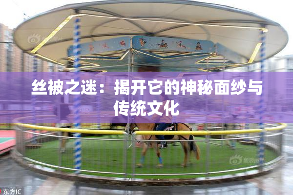 丝被之迷：揭开它的神秘面纱与传统文化