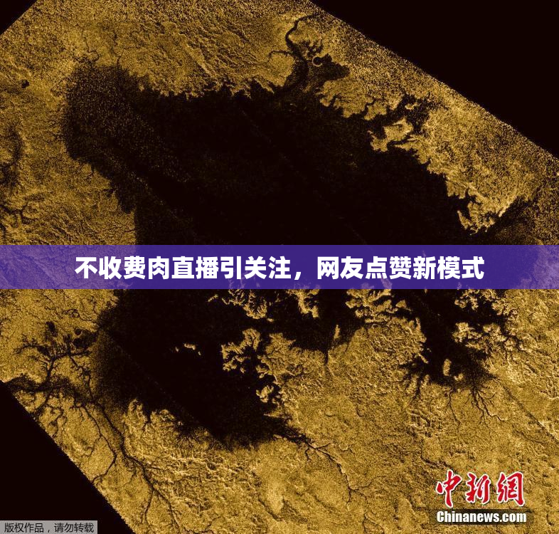 不收费肉直播引关注，网友点赞新模式