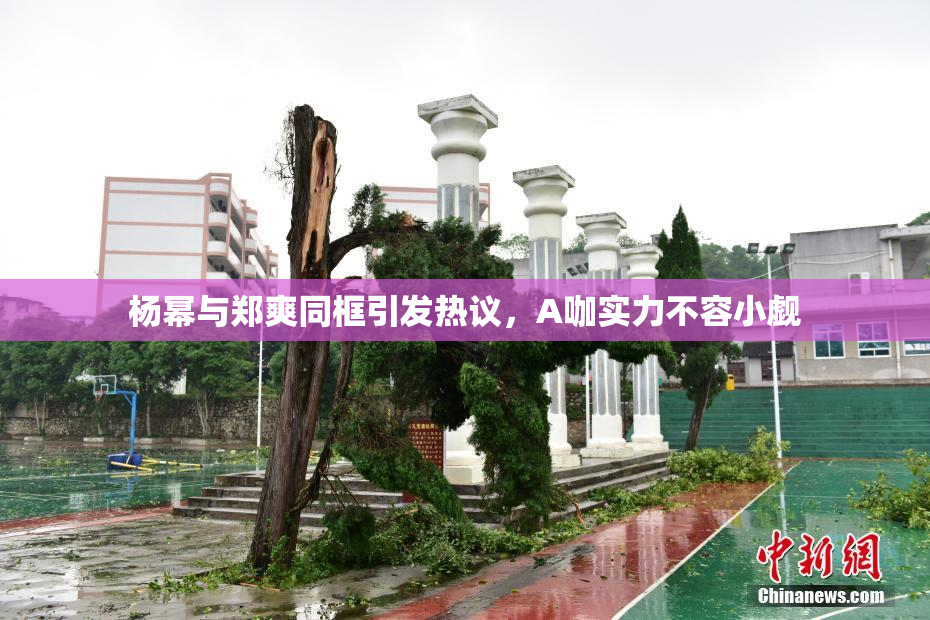 杨幂与郑爽同框引发热议，A咖实力不容小觑