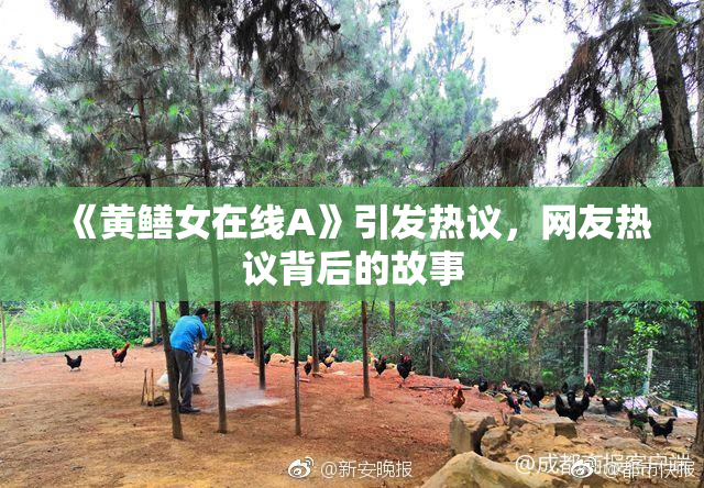 《黄鳝女在线A》引发热议，网友热议背后的故事