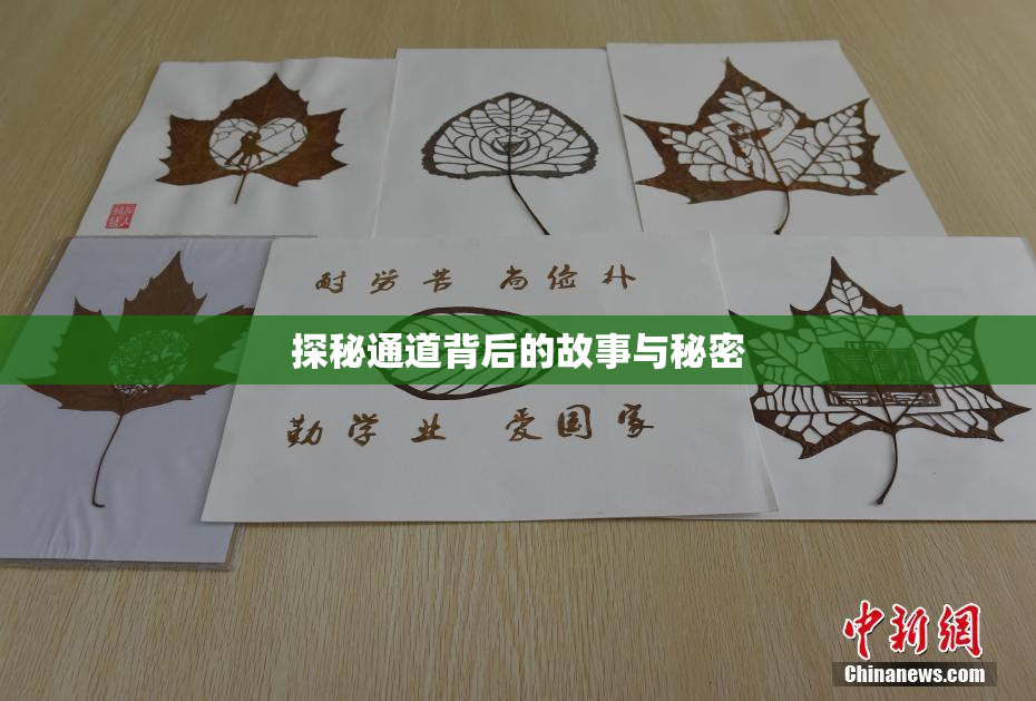 探秘通道背后的故事与秘密