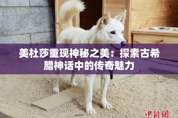美杜莎重现神秘之美：探索古希腊神话中的传奇魅力