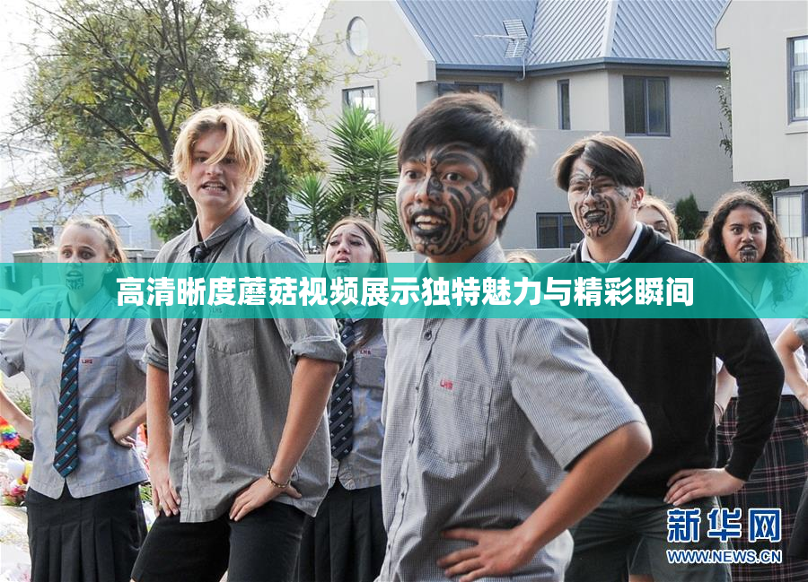 高清晰度蘑菇视频展示独特魅力与精彩瞬间