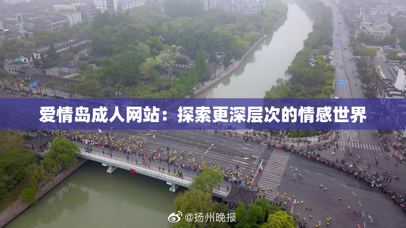 爱情岛成人网站：探索更深层次的情感世界