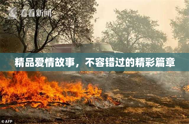 精品爱情故事，不容错过的精彩篇章