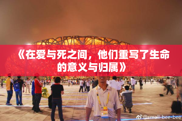 《在爱与死之间，他们重写了生命的意义与归属》