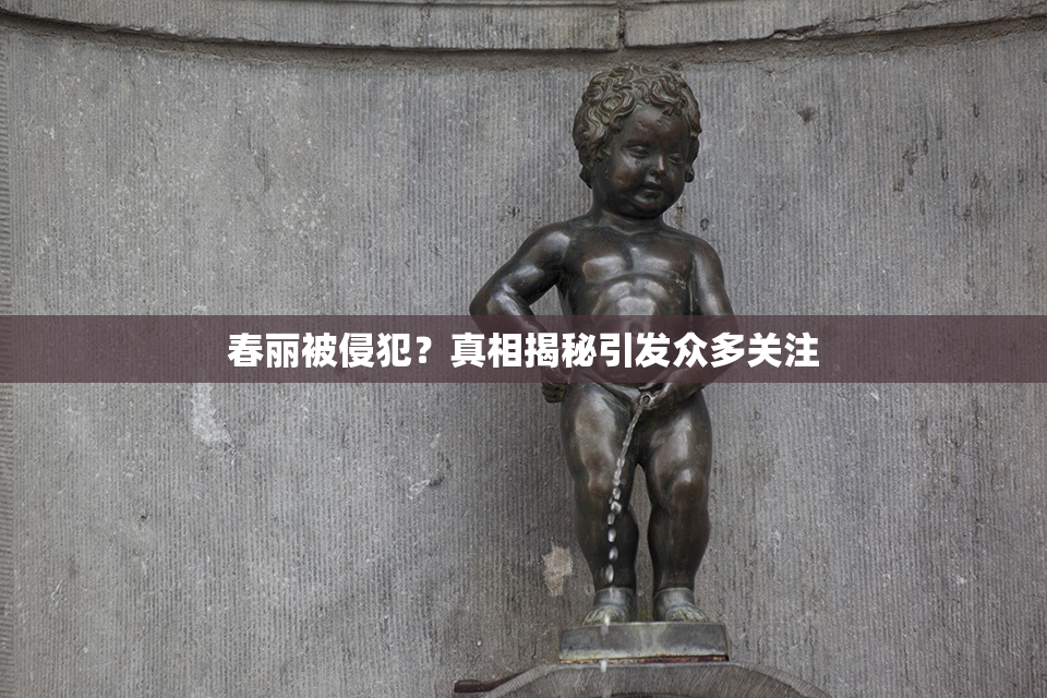 春丽被侵犯？真相揭秘引发众多关注