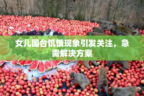 女儿国台饥饿现象引发关注，急需解决方案