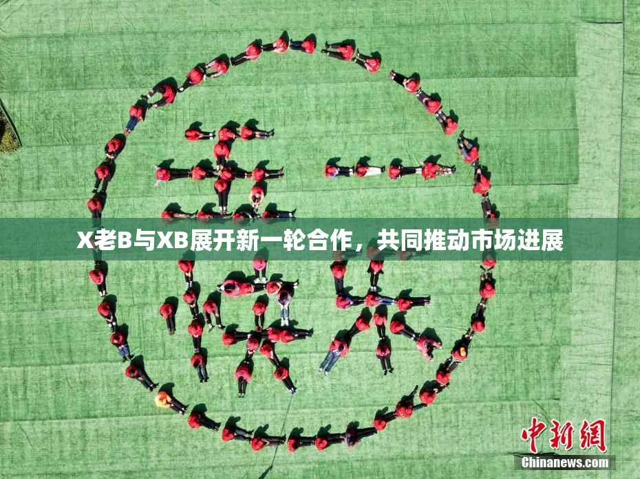 X老B与XB展开新一轮合作，共同推动市场进展