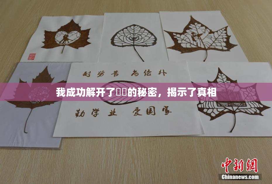 我成功解开了妺妺的秘密，揭示了真相