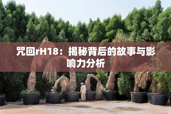 咒回rH18：揭秘背后的故事与影响力分析