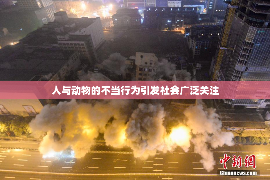 人与动物的不当行为引发社会广泛关注
