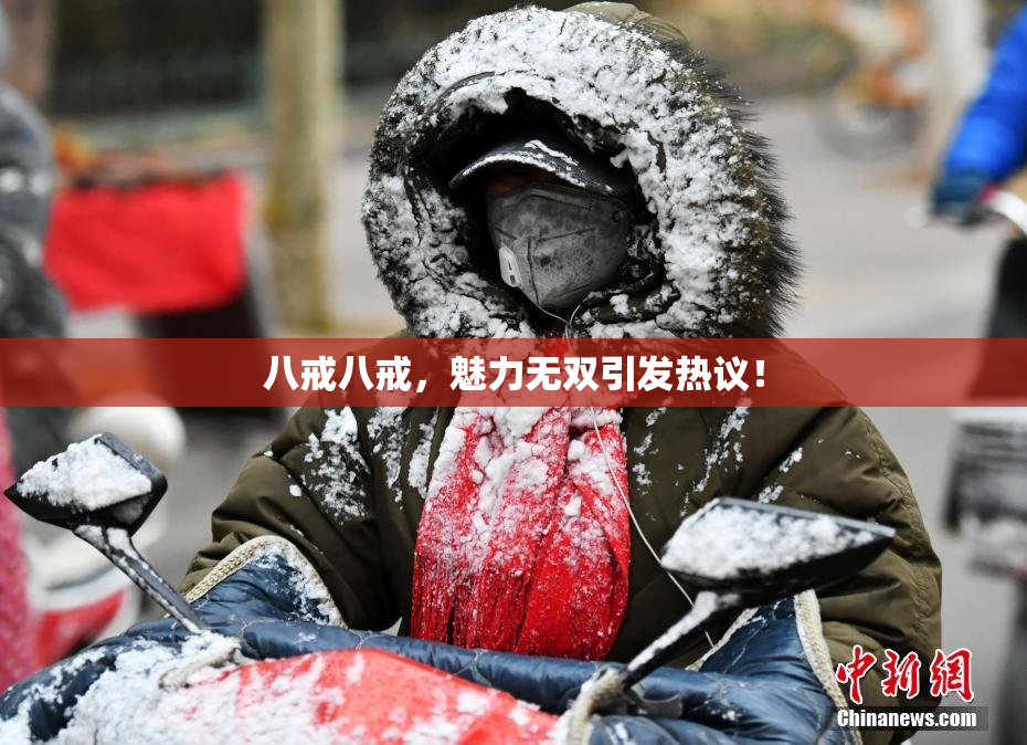 八戒八戒，魅力无双引发热议！