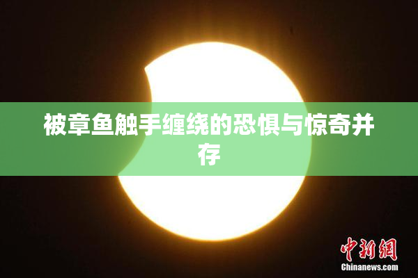 被章鱼触手缠绕的恐惧与惊奇并存