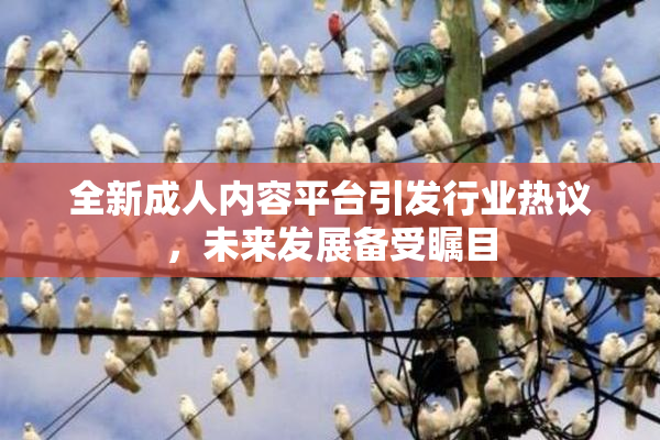 全新成人内容平台引发行业热议，未来发展备受瞩目