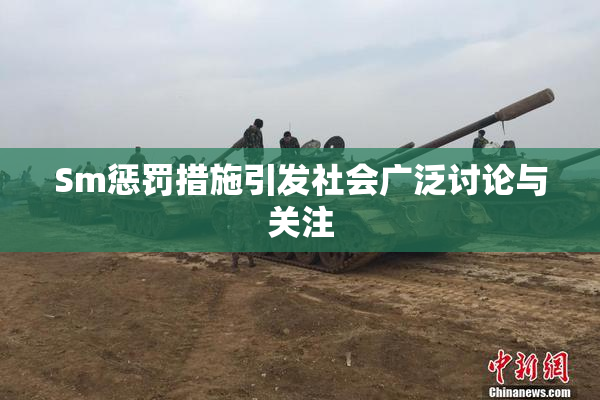 Sm惩罚措施引发社会广泛讨论与关注