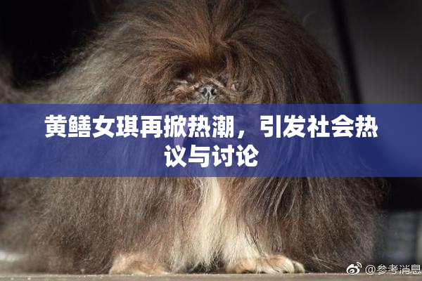 黄鳝女琪再掀热潮，引发社会热议与讨论