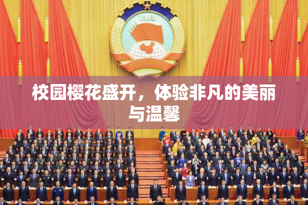 校园樱花盛开，体验非凡的美丽与温馨