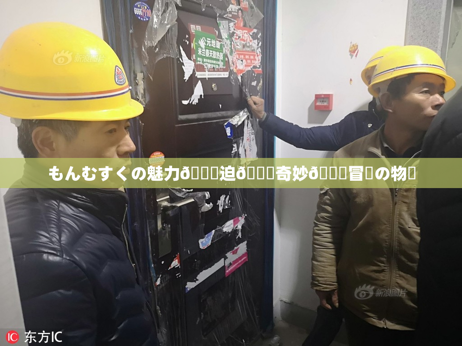 もんむすくの魅力🎆迫🌃奇妙🍑冒険の物語