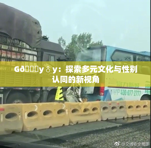 G🈚y♂y：探索多元文化与性别认同的新视角