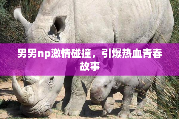男男np激情碰撞，引爆热血青春故事