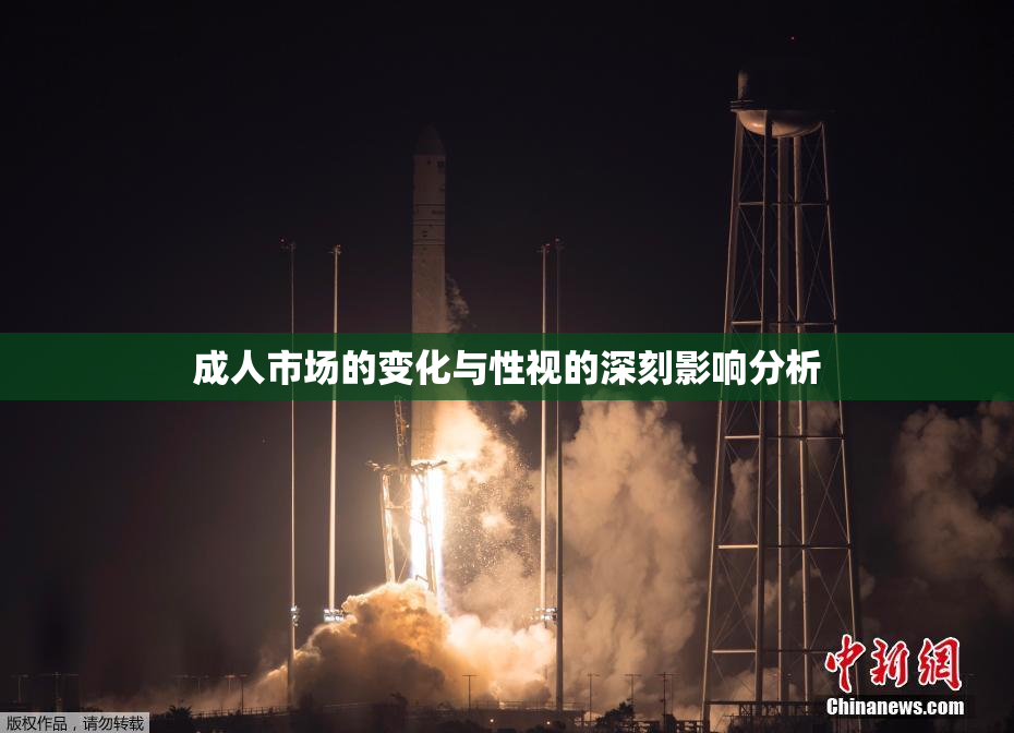 成人市场的变化与性视的深刻影响分析