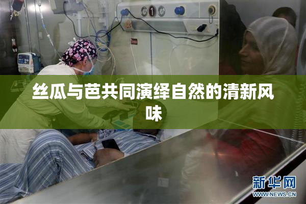 丝瓜与芭共同演绎自然的清新风味