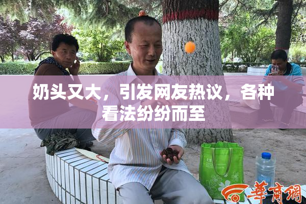 奶头又大，引发网友热议，各种看法纷纷而至