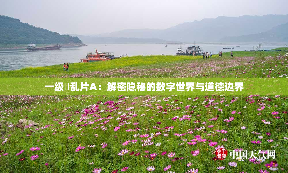 一级婬乱片A：解密隐秘的数字世界与道德边界