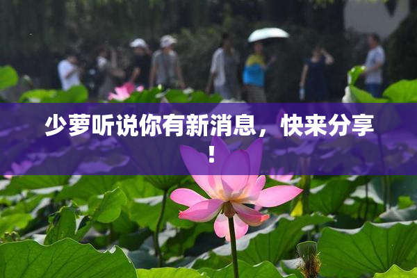 少萝听说你有新消息，快来分享！