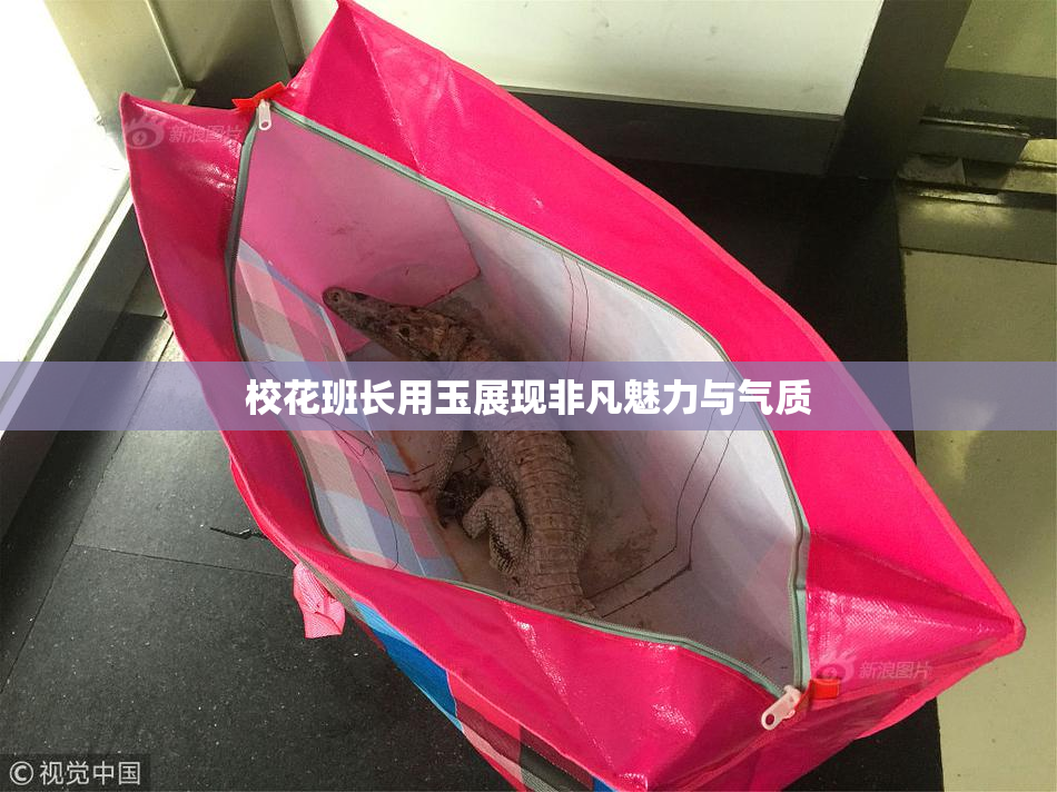 校花班长用玉展现非凡魅力与气质