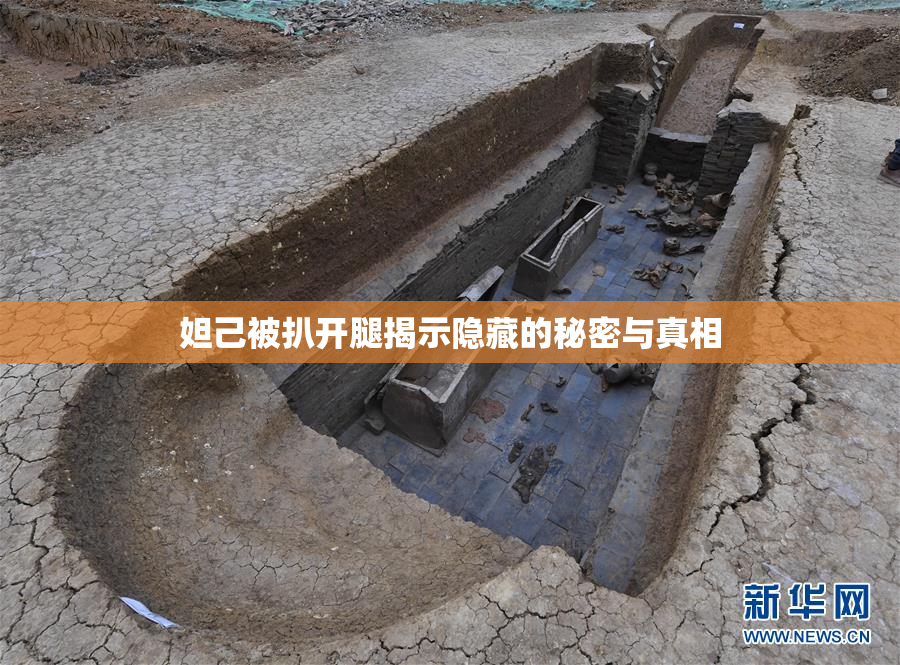 妲己被扒开腿揭示隐藏的秘密与真相