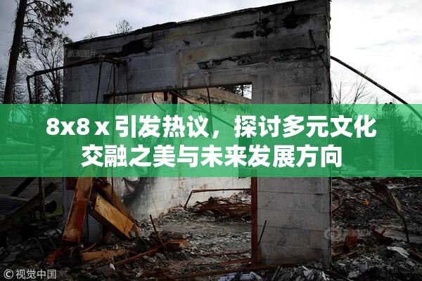 8x8ⅹ引发热议，探讨多元文化交融之美与未来发展方向