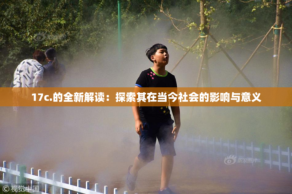 17c.的全新解读：探索其在当今社会的影响与意义