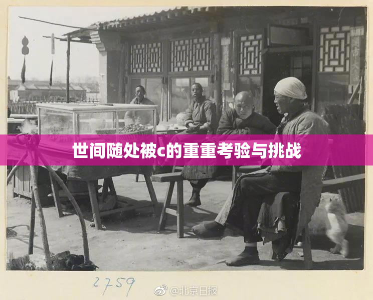 世间随处被c的重重考验与挑战