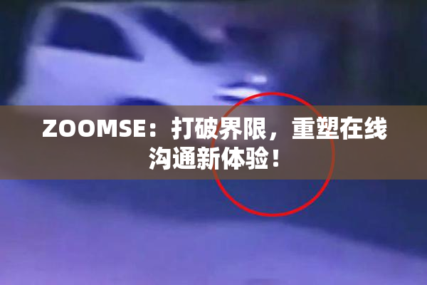 ZOOMSE：打破界限，重塑在线沟通新体验！