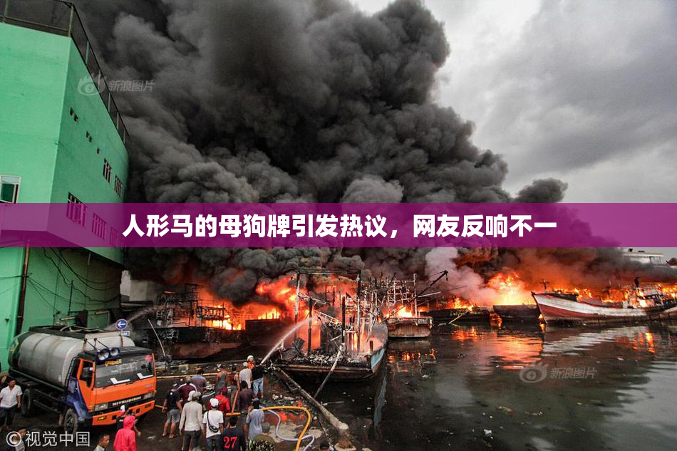 人形马的母狗牌引发热议，网友反响不一