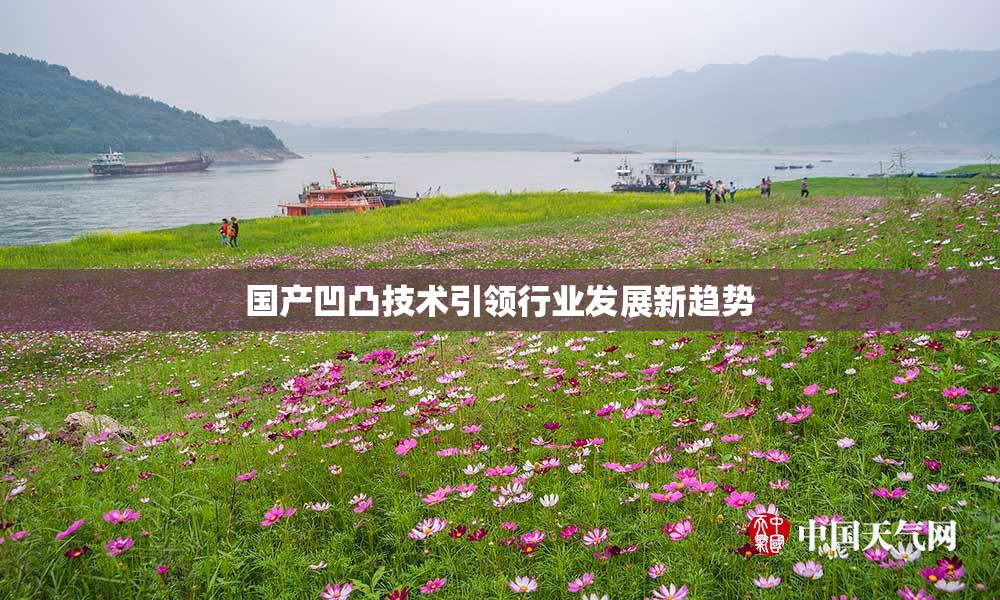 国产凹凸技术引领行业发展新趋势
