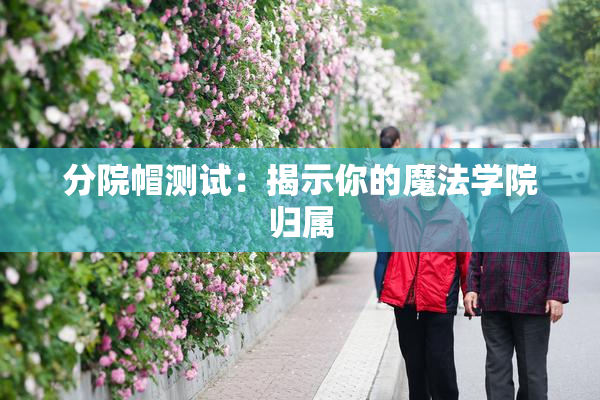 分院帽测试：揭示你的魔法学院归属