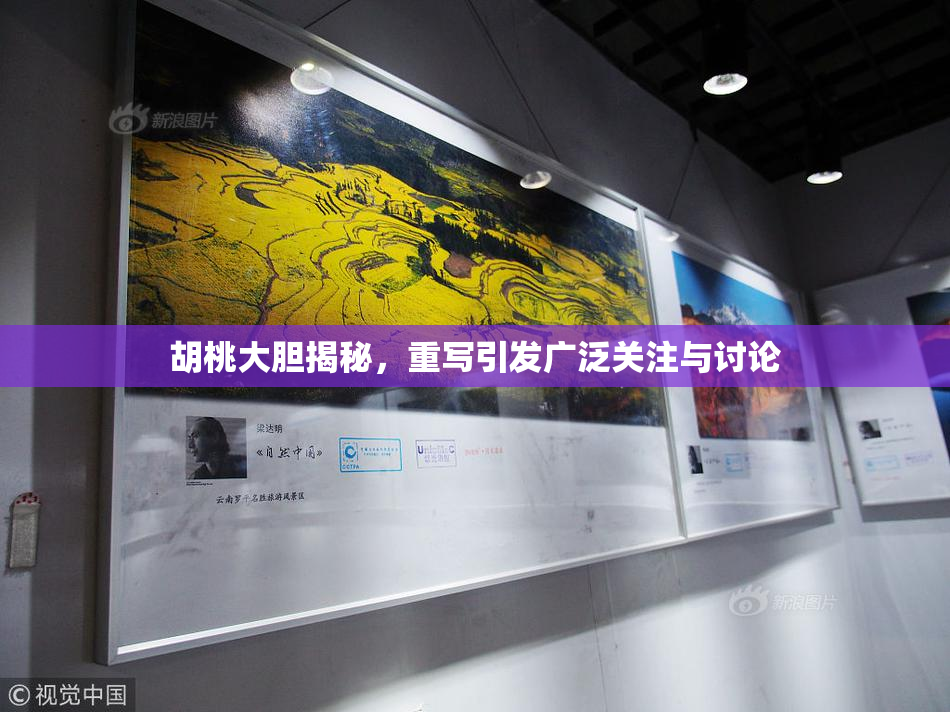 胡桃大胆揭秘，重写引发广泛关注与讨论
