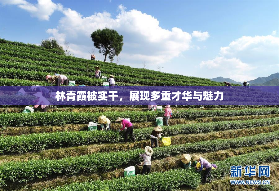 林青霞被实干，展现多重才华与魅力
