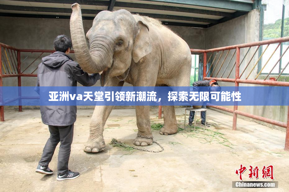 亚洲va天堂引领新潮流，探索无限可能性