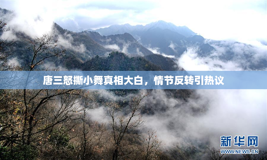 唐三怒撕小舞真相大白，情节反转引热议